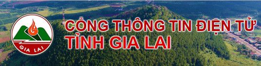 Cổng Thông Tin Điện Tử Gia Lai