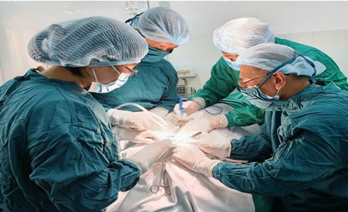CHUYỂN GIAO KỸ THUẬT  PHẪU THUẬT VÁ NHĨ BẰNG NỘI SOI TẠI BỆNH VIỆN 331